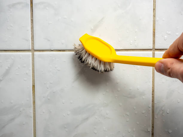 Best Preventive Mold Services in East Lansing, MI