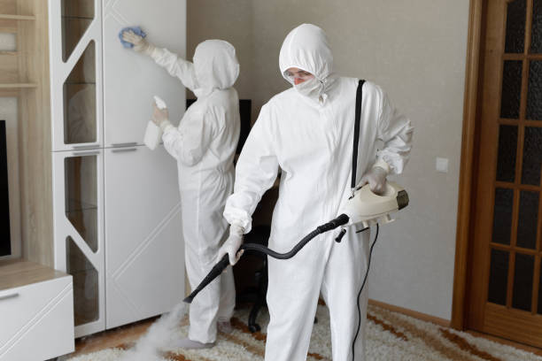 Best Industrial Mold Remediation in East Lansing, MI