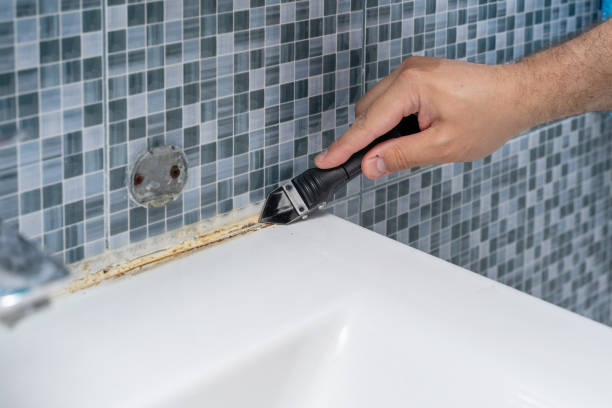  East Lansing, MI Mold Removal Pros