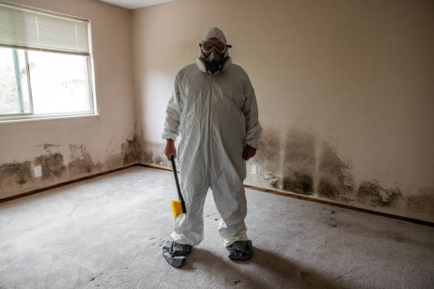 East Lansing, MI Mold Remediation Company